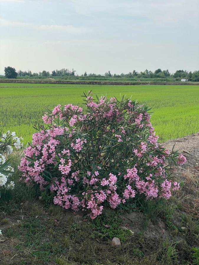 Tenuta Favorita Country House B&B Fontanetto Po 외부 사진